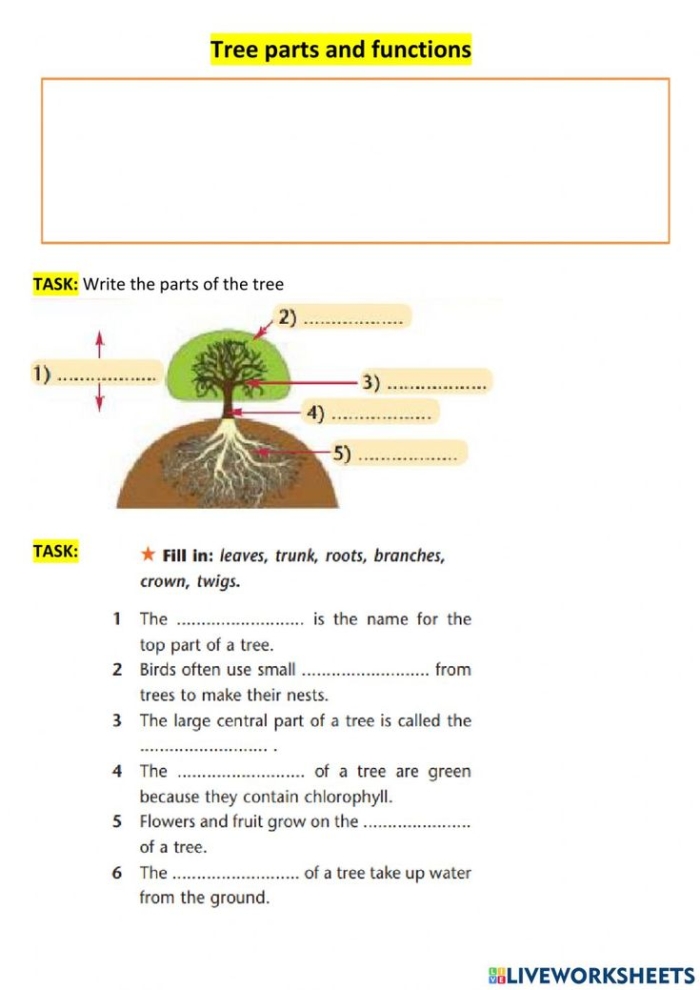 Colorful diagram of tree parts for kids to label, featuring stem and roots