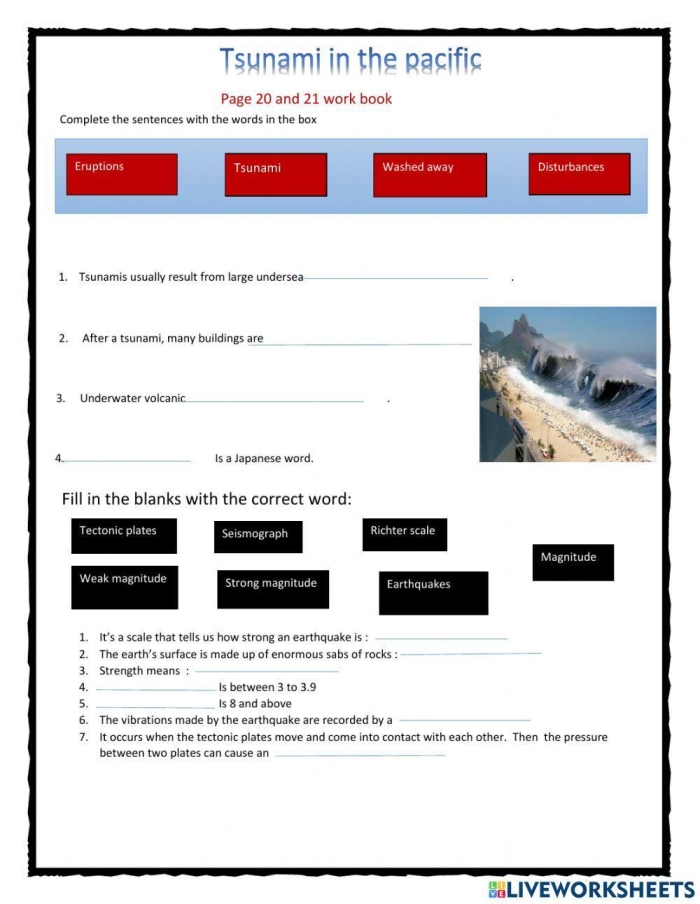 Tsunami Science worksheet designed for fifth graders to explore the phenomenon of tsunamis