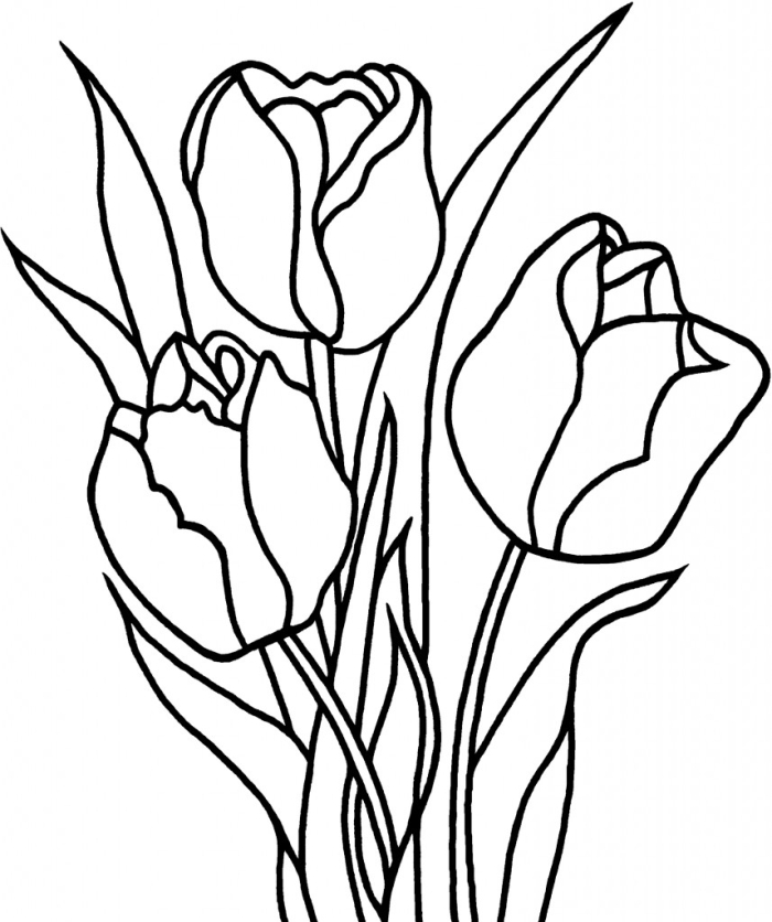 Tulip Diagram Coloring Page worksheet for first grade students celebrating the arrival of spring Coloring page featuring a tulip diagram designed for first graders to enhance their understanding of grammar and mechanics