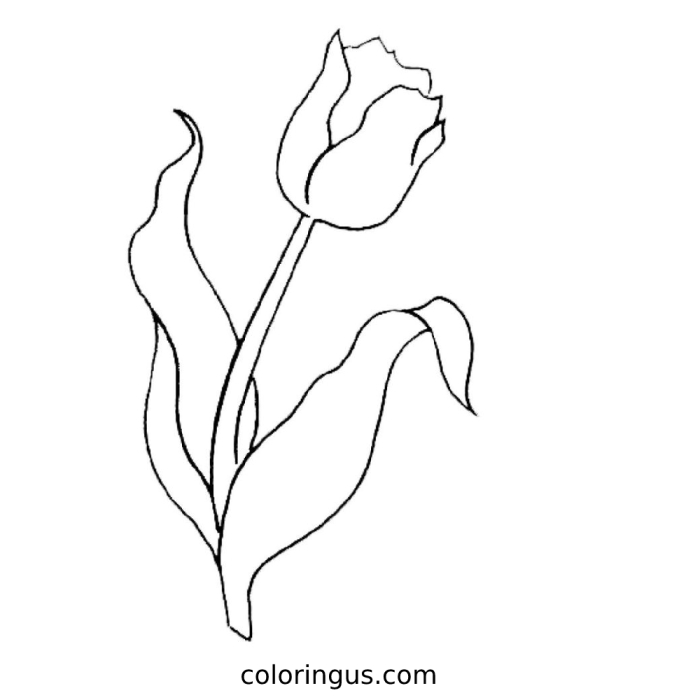 Tulip Diagram Coloring Activity for Spring Season Coloring page worksheet featuring a tulip diagram for first graders