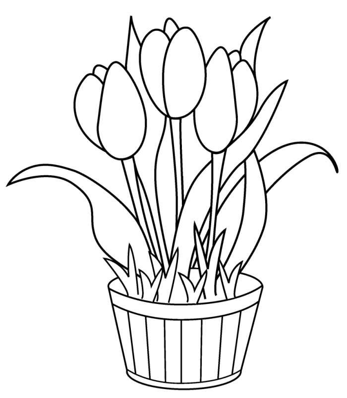 Tulip Diagram Coloring Page Worksheet for Grammar and Mechanics in First Grade Coloring page featuring a tulip diagram for first graders to enhance their understanding of spring flowers