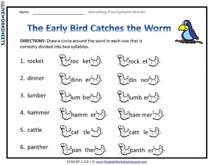 Engaging exercise for counting syllables in two-syllable words Two Syllable Words worksheet for Pre-K students featuring double consonants