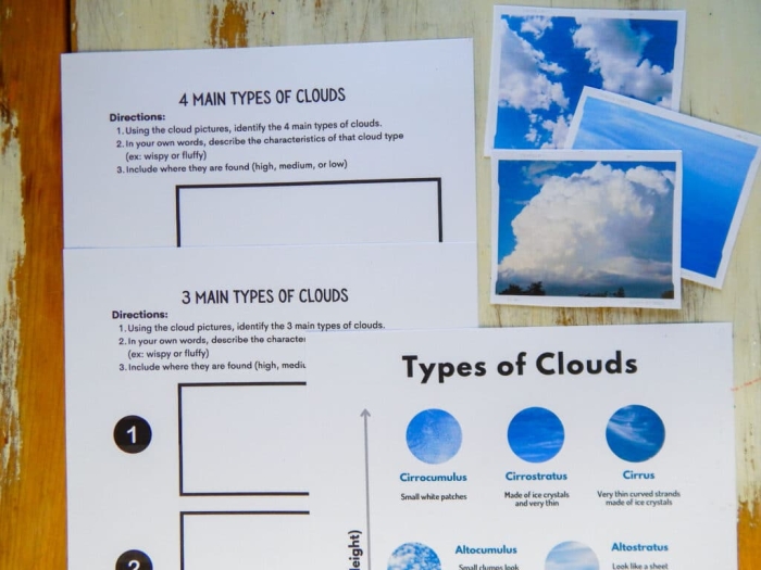 Educational worksheet on different types of clouds for young learners Colorful illustration of various cloud types for a second-grade worksheet
