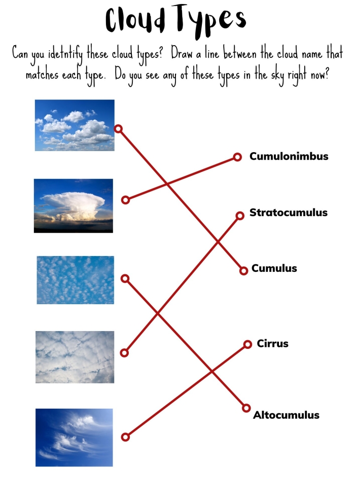 Worksheet on different cloud types for kids in second grade Types of clouds illustrated for second graders learning about weather