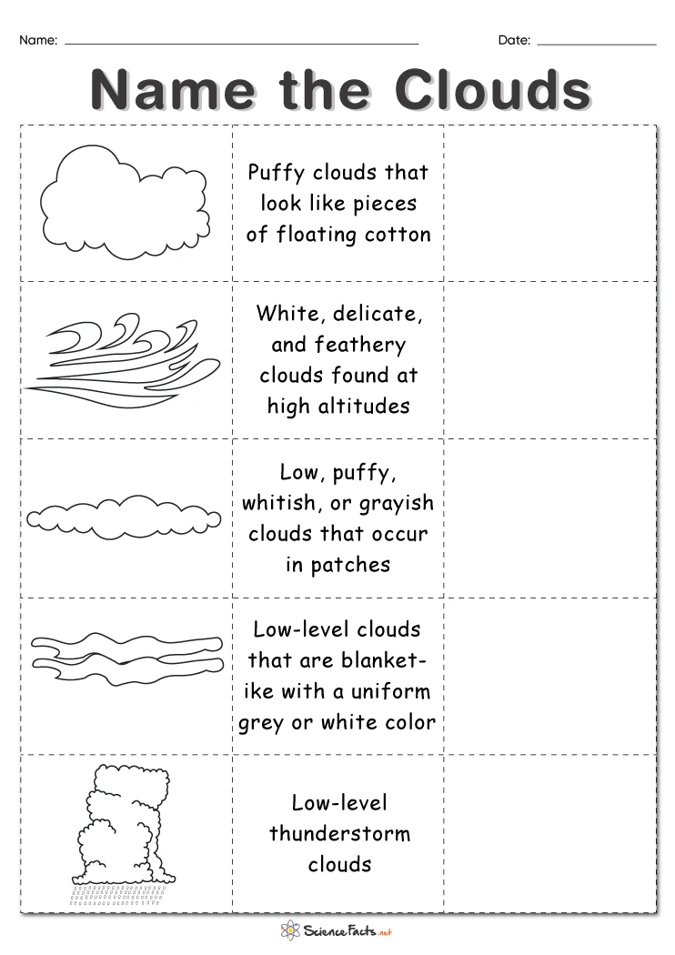 Engaging Types of Clouds worksheet for young learners Colorful illustration of various types of clouds for a second-grade worksheet