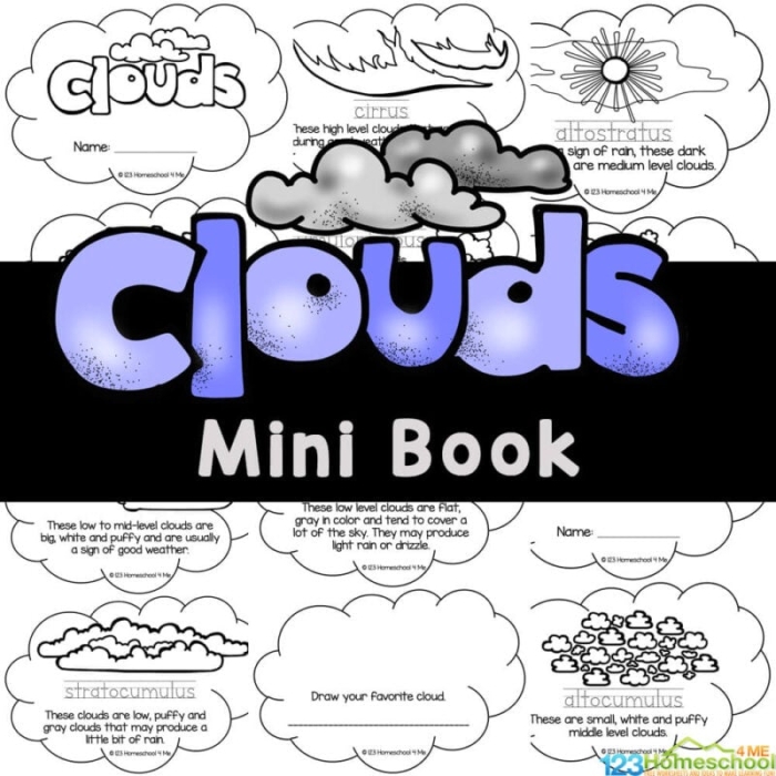 Engaging types of clouds worksheet for young learners Worksheet illustrating various types of clouds for second graders