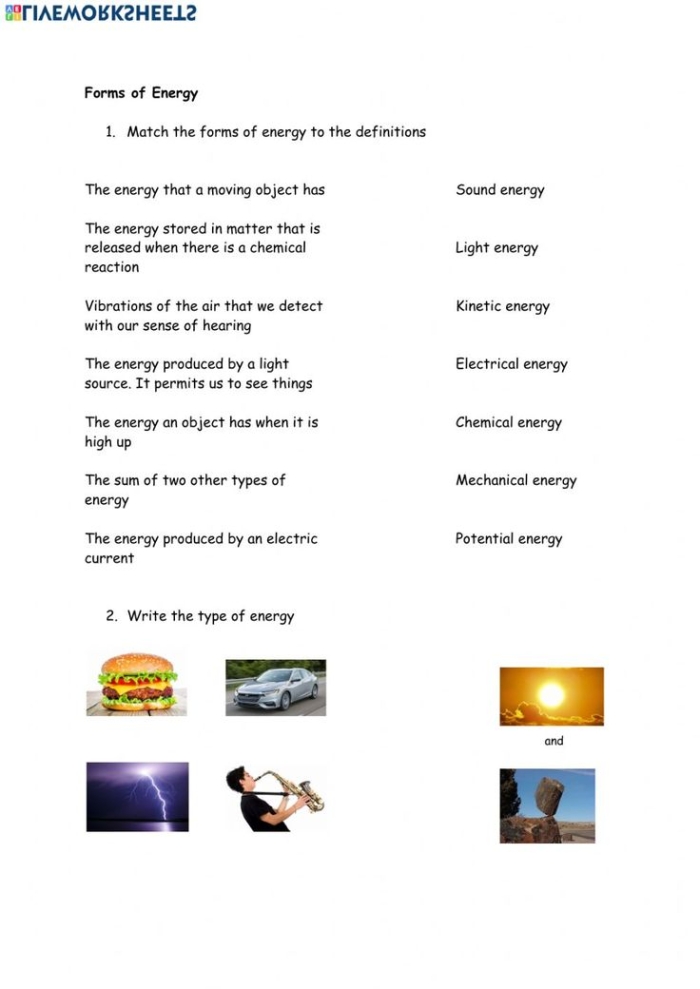 Educational resource for understanding various types of energy in science Types of Energy worksheet for third graders exploring different energy forms