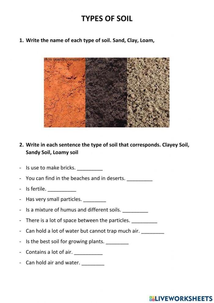 Illustration of various soil types for a second-grade worksheet on earth science
