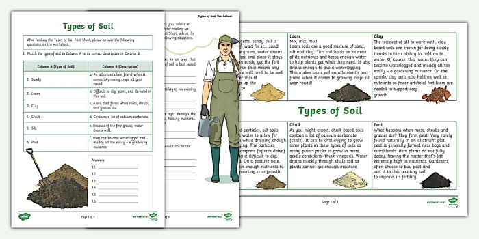 Types of soil particles illustrated for a second-grade science worksheet