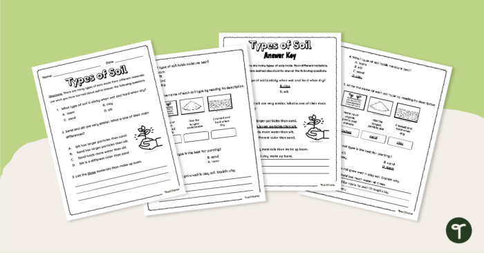 Types of soil particles illustrated for a second-grade science worksheet