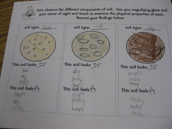 Types of Soil worksheet for second graders exploring soil particles