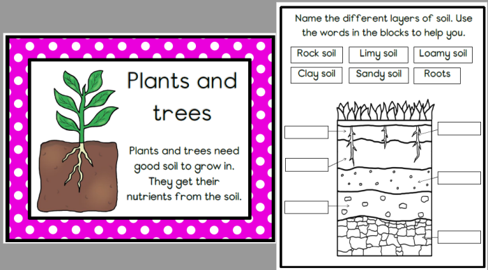 Types of soil particles illustrated on a worksheet for second graders