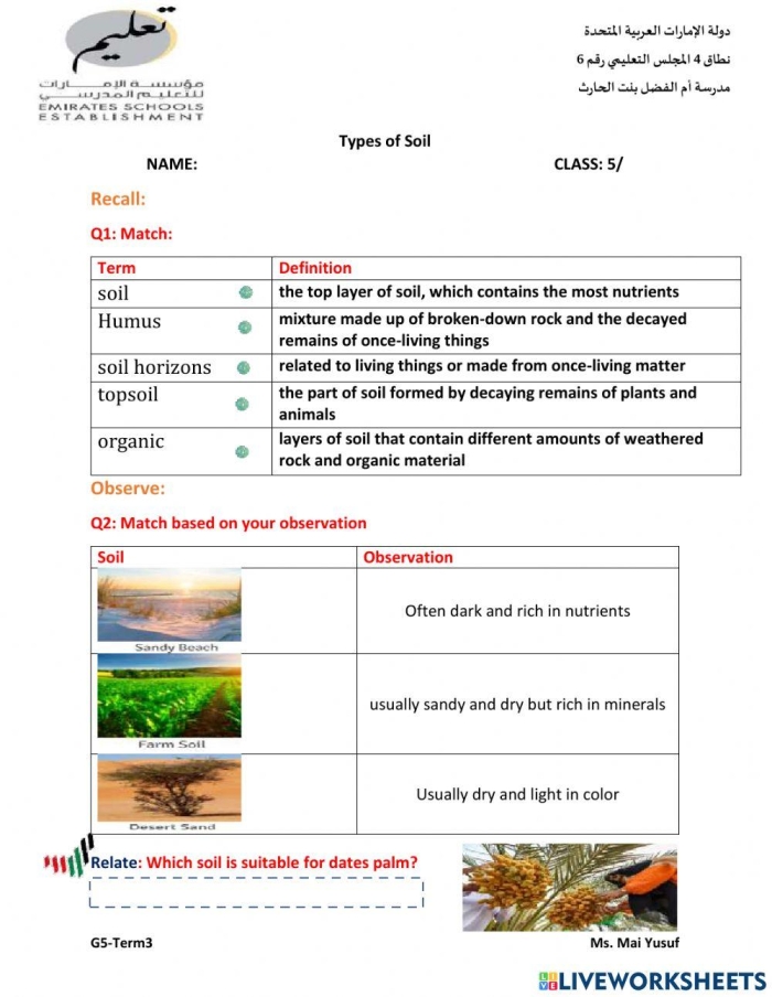Types of Soil worksheet for second graders exploring soil particles