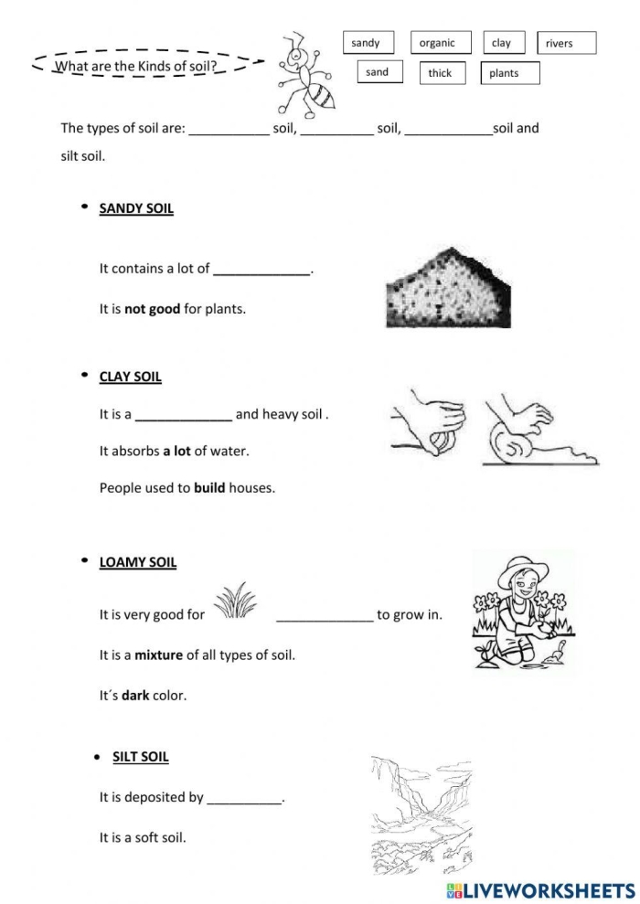 Illustration of various soil types for a second-grade science worksheet
