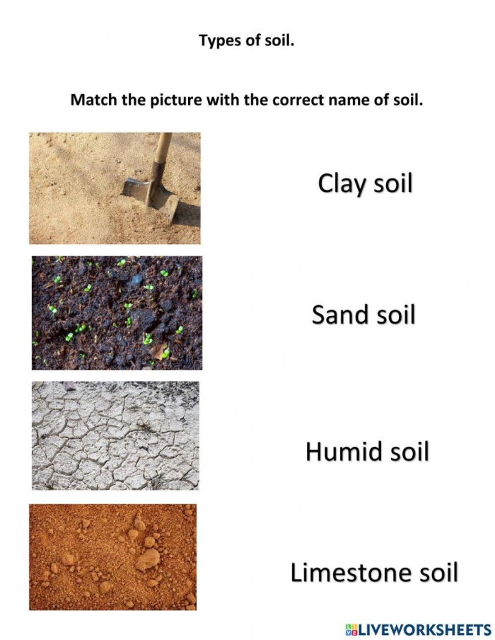 A colorful worksheet illustrating various types of soil particles for second graders. Types of Soil Worksheet for Earth and Space Science.
