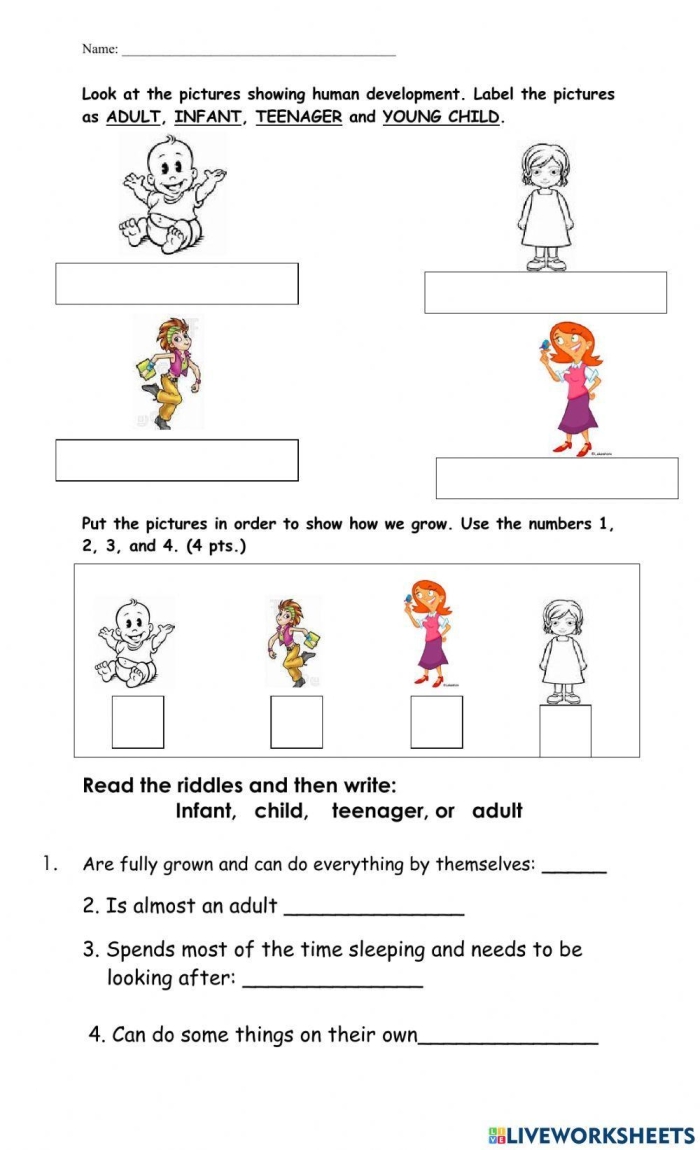 Human Impact Urban Development Worksheet Activity 5 for Middle School Math and Science Sixth grade students analyzing urban development effects on the environment with algebra equations and data charts
