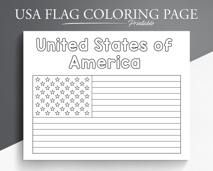 U.S. flag worksheet for second graders featuring facts and waving locations