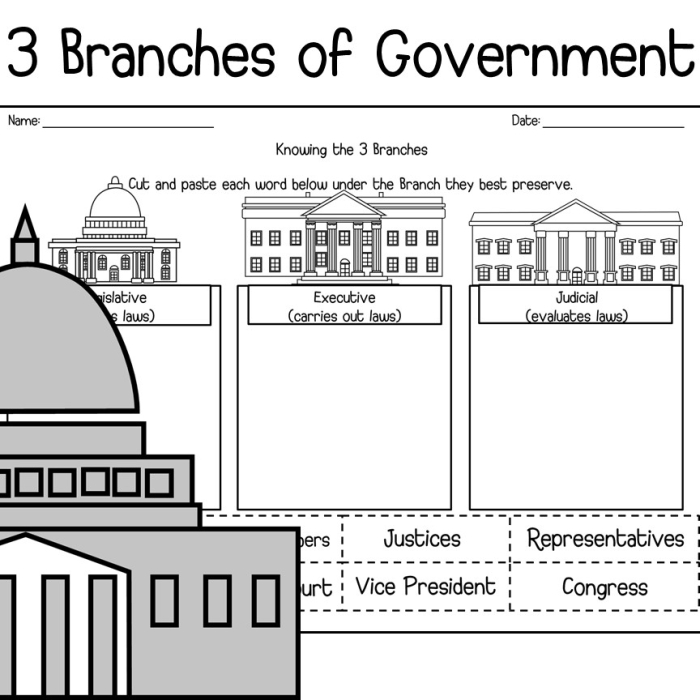 Fourth grade student filling in a blank graphic organizer about the three branches of the U.S. government