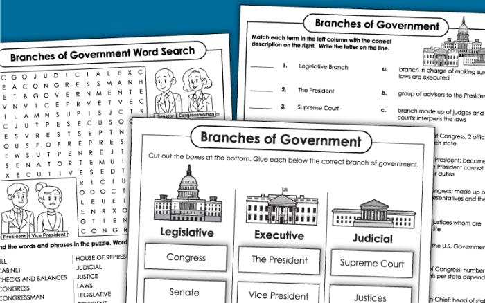 Fourth grade student filling out a government structure worksheet with fill in the blank branches