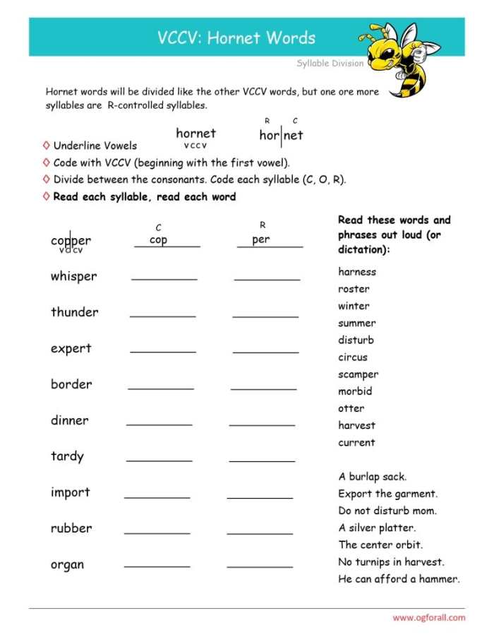 Syllable Patterns VCCV Practice Worksheet for First Grade Learners Image 9 First grade VCCV syllable pattern worksheet showing word division and sorting activities for consonant-vowel-consonant-consonant words