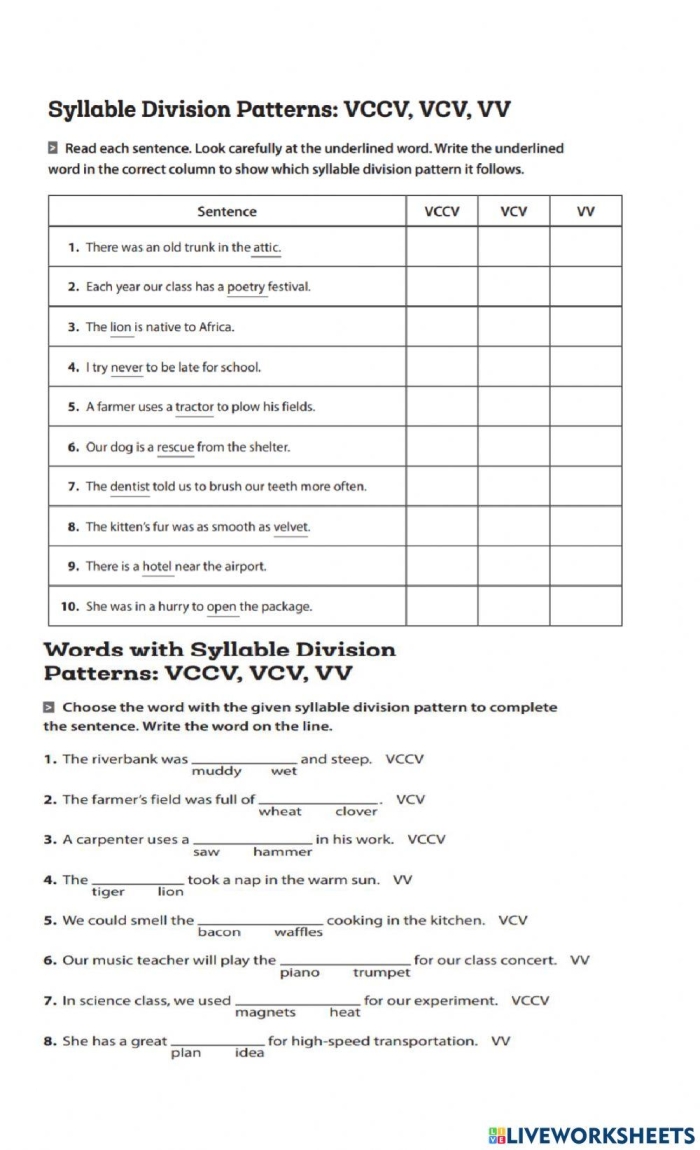 VCCV Syllable Patterns Practice Activity for Early Learners Worksheet 23 First grade students practice dividing VCCV syllable pattern words by counting and sorting on this two-page handwriting worksheet