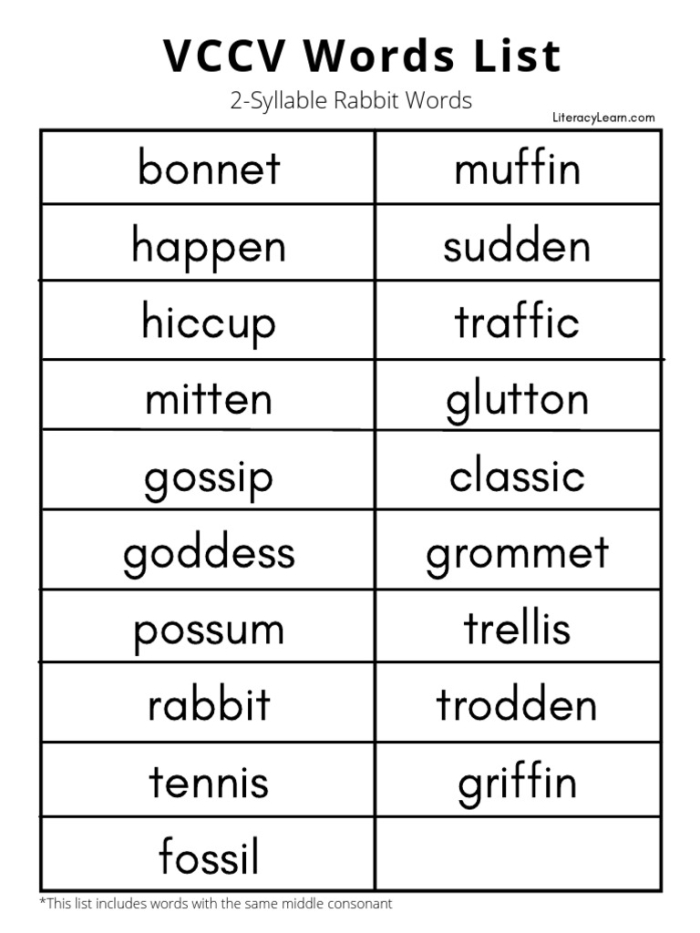 Worksheet 23 showing VC/V syllable separation exercises for beginning readers First grade students practice dividing VC/V pattern words into syllables with this reading and spelling worksheet activity