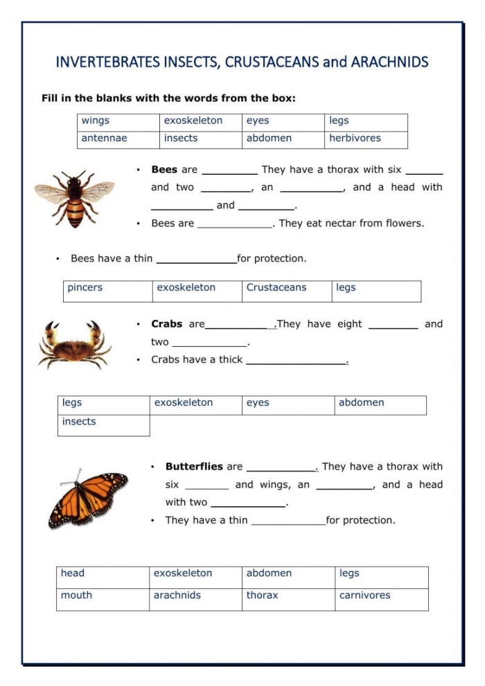 Second grade science worksheet for identifying vertebrate and invertebrate animals