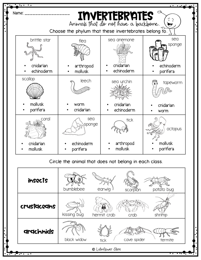 Second grade science worksheet for identifying vertebrate and invertebrate animals