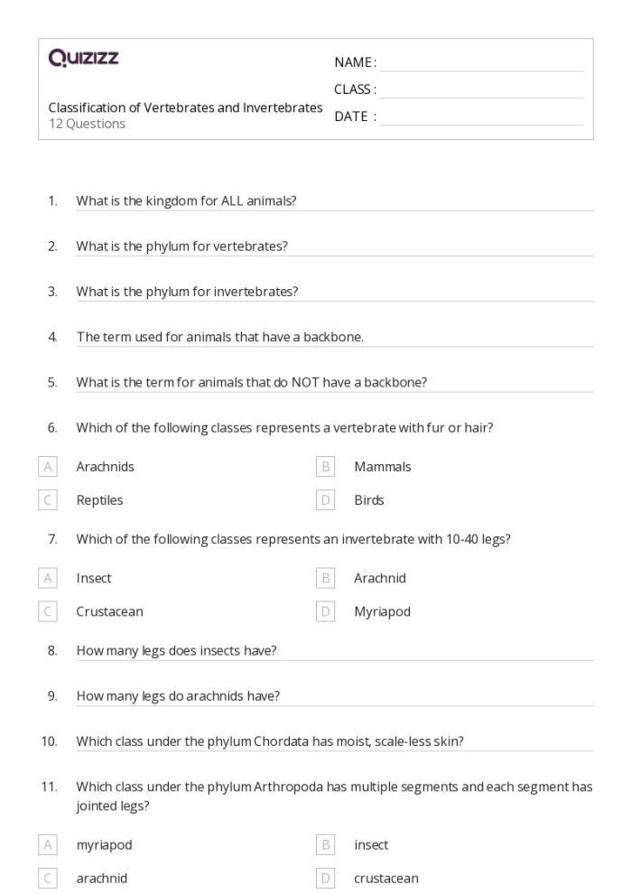 Worksheet illustrating vertebrates and invertebrates for second graders. Explore the differences between creatures with and without backbones!