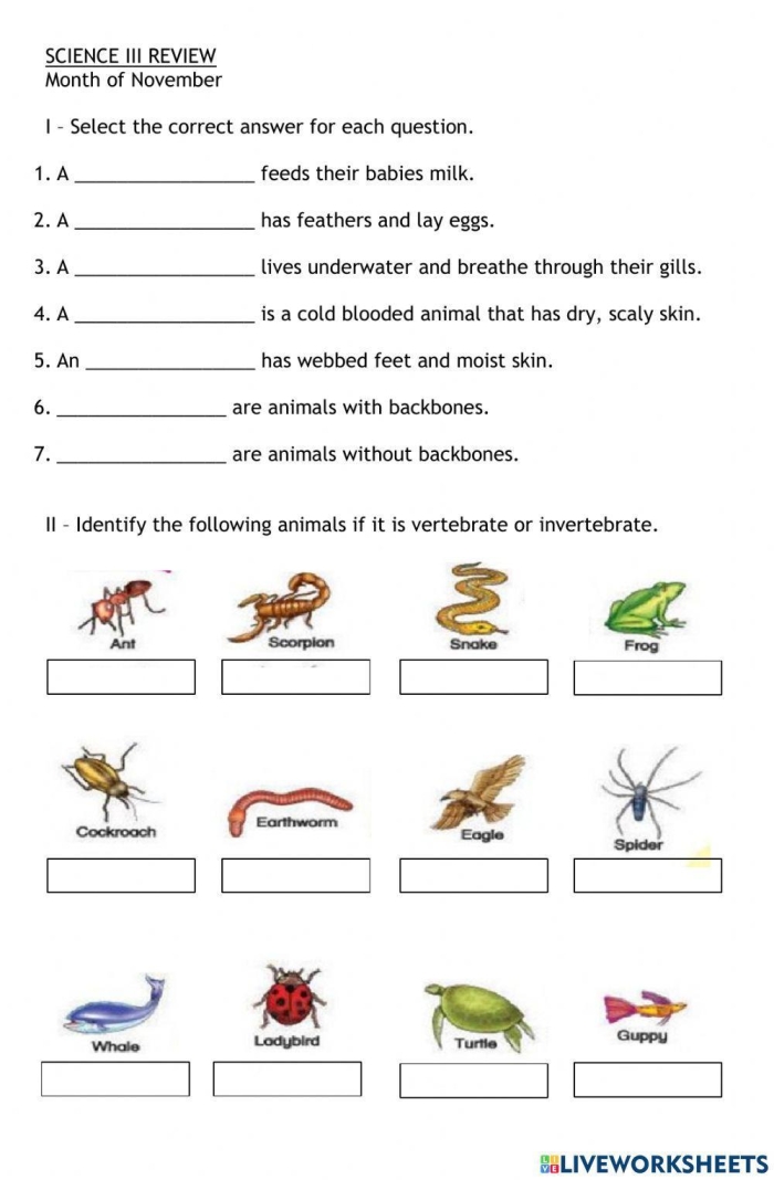 Second grade students identify vertebrates and invertebrates in this engaging science worksheet number 25