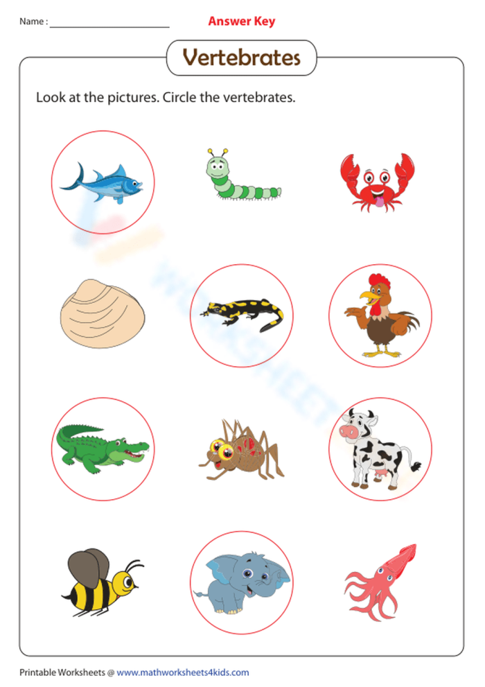 Worksheet for comparing and contrasting vertebrates and invertebrates with rhyming activities