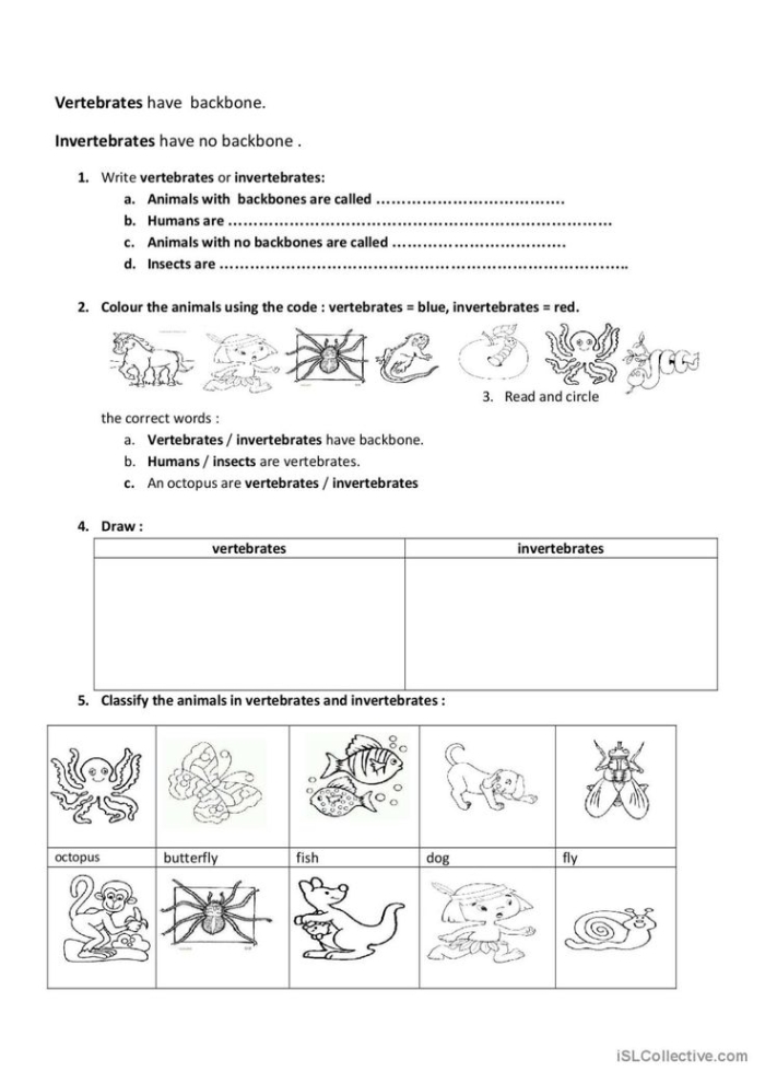 Worksheet featuring vertebrates and invertebrates for second graders