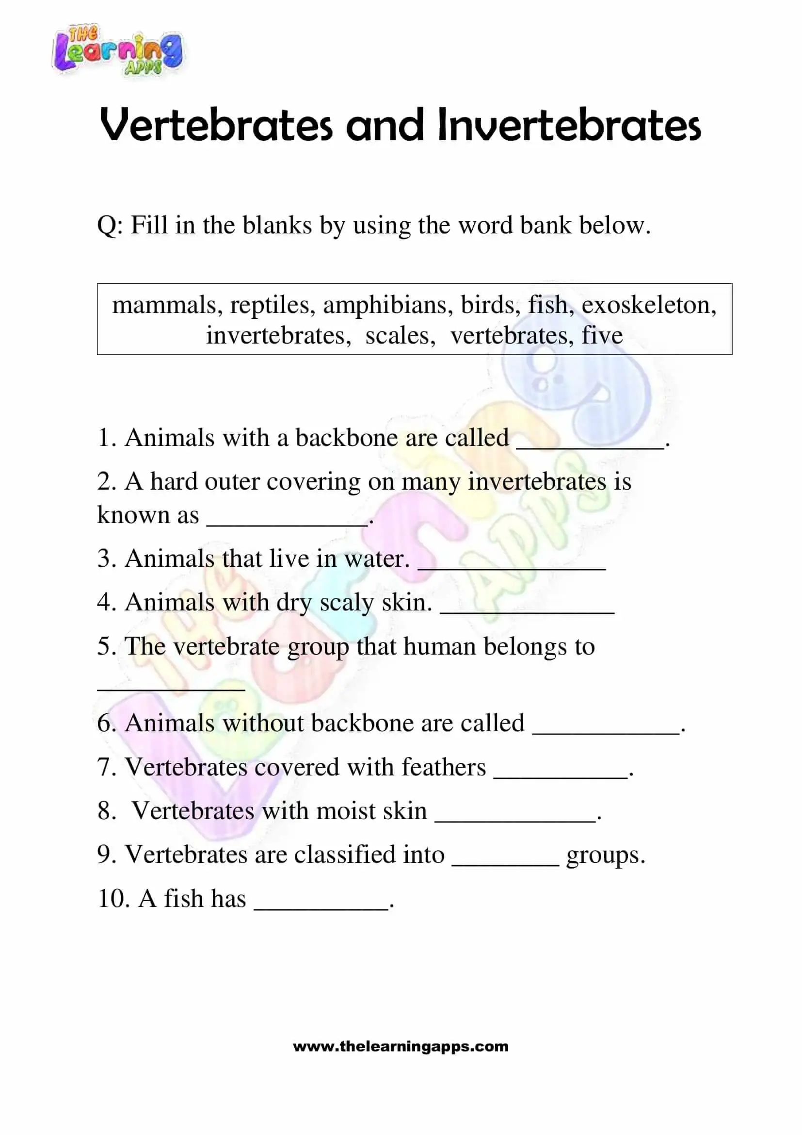 Worksheet illustrating vertebrates and invertebrates for second graders