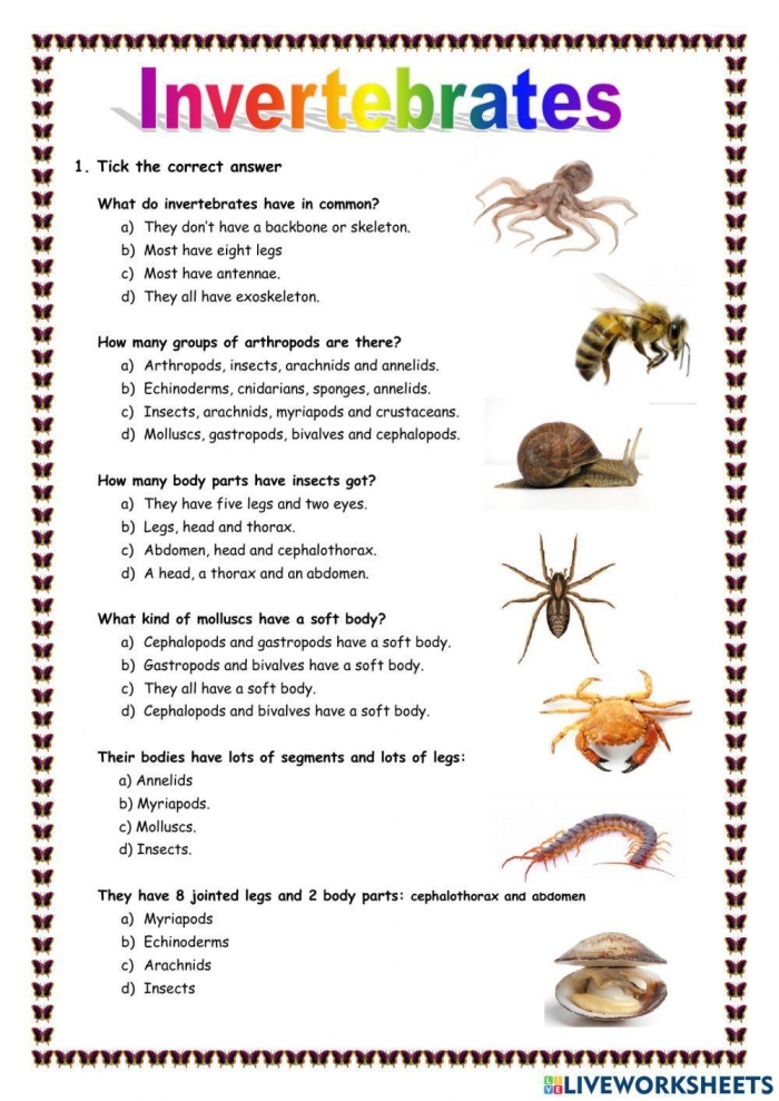 Worksheet illustrating vertebrates and invertebrates for second graders. Educational activity focused on the classification of creatures with and without spines.