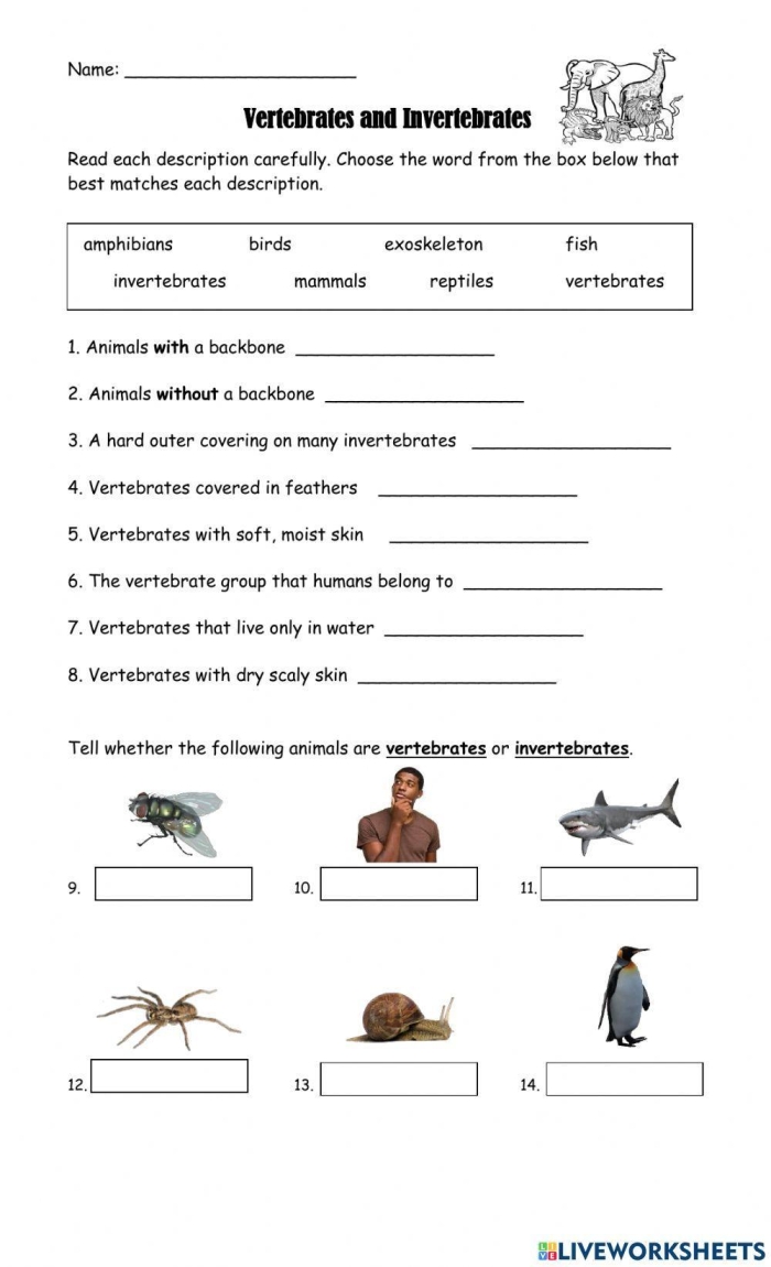 Second grade students identifying different animal groups on a Vertebrates and Invertebrates worksheet