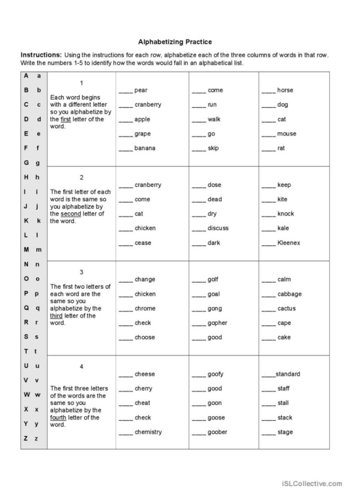 Vocabulary Practice worksheet focused on alphabetizing, synonyms, and antonyms for third graders