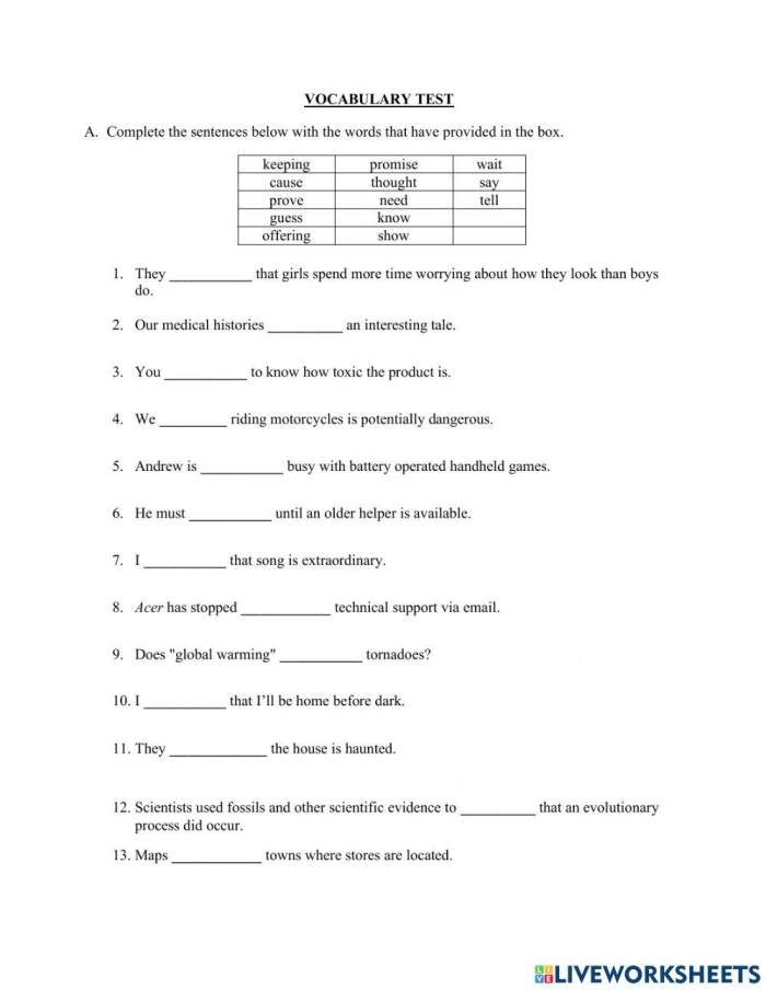 First grade vocabulary practice test worksheet designed for spelling preparation