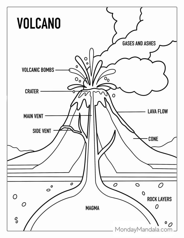 Third grade life science worksheet showing a labeled diagram of an active volcano for students to study