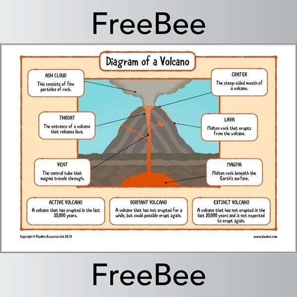 Third grade life science worksheet featuring a detailed labeled diagram of an active volcano