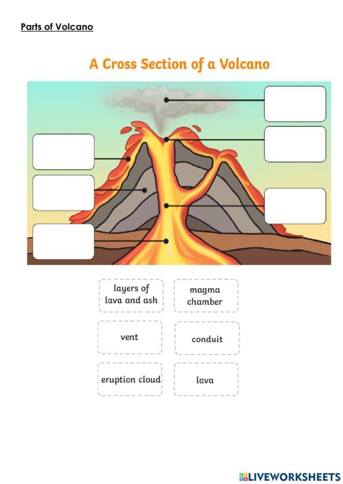 Third grade volcano diagram worksheet showing labeled parts of an active mountain