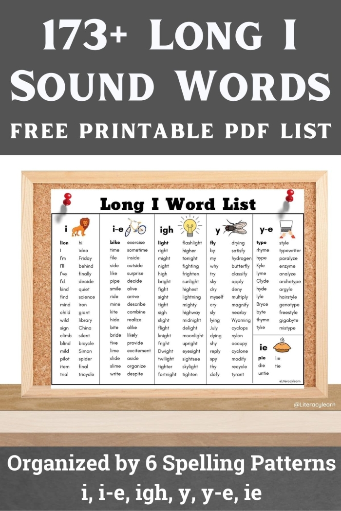 Second grade reading activity focusing on vowel sounds with words like baby and spy Vowel sounds worksheet for second graders sorting words ending in 'y' into long 'e' and long 'i' categories