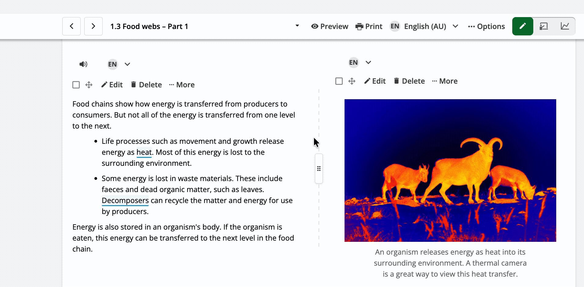 Fifth grade students completing a reading comprehension worksheet focused on making inferences from the novel Walk Two Moons