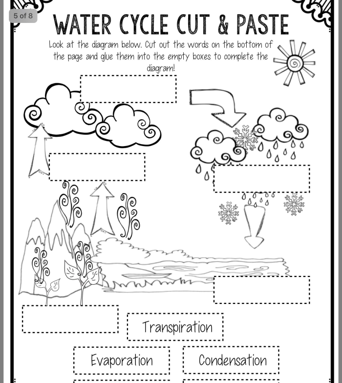 Fifth grade worksheet featuring a detailed water cycle chart for students to color and label