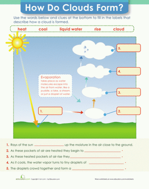 Diagram showing the water cycle process with arrows and labels for evaporation, condensation, and cloud formation for second grade students