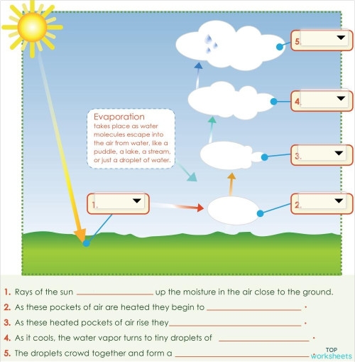 Diagram showing the water cycle and cloud formation process with labeled arrows and blanks for students to complete