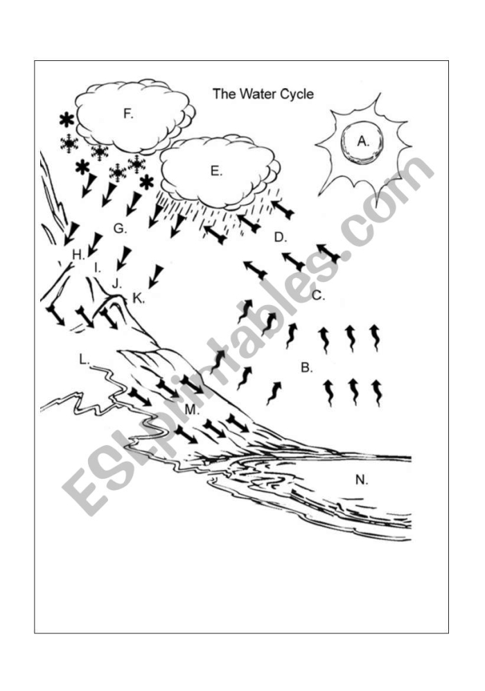 A first grade student cutting and pasting labels onto a water cycle diagram worksheet