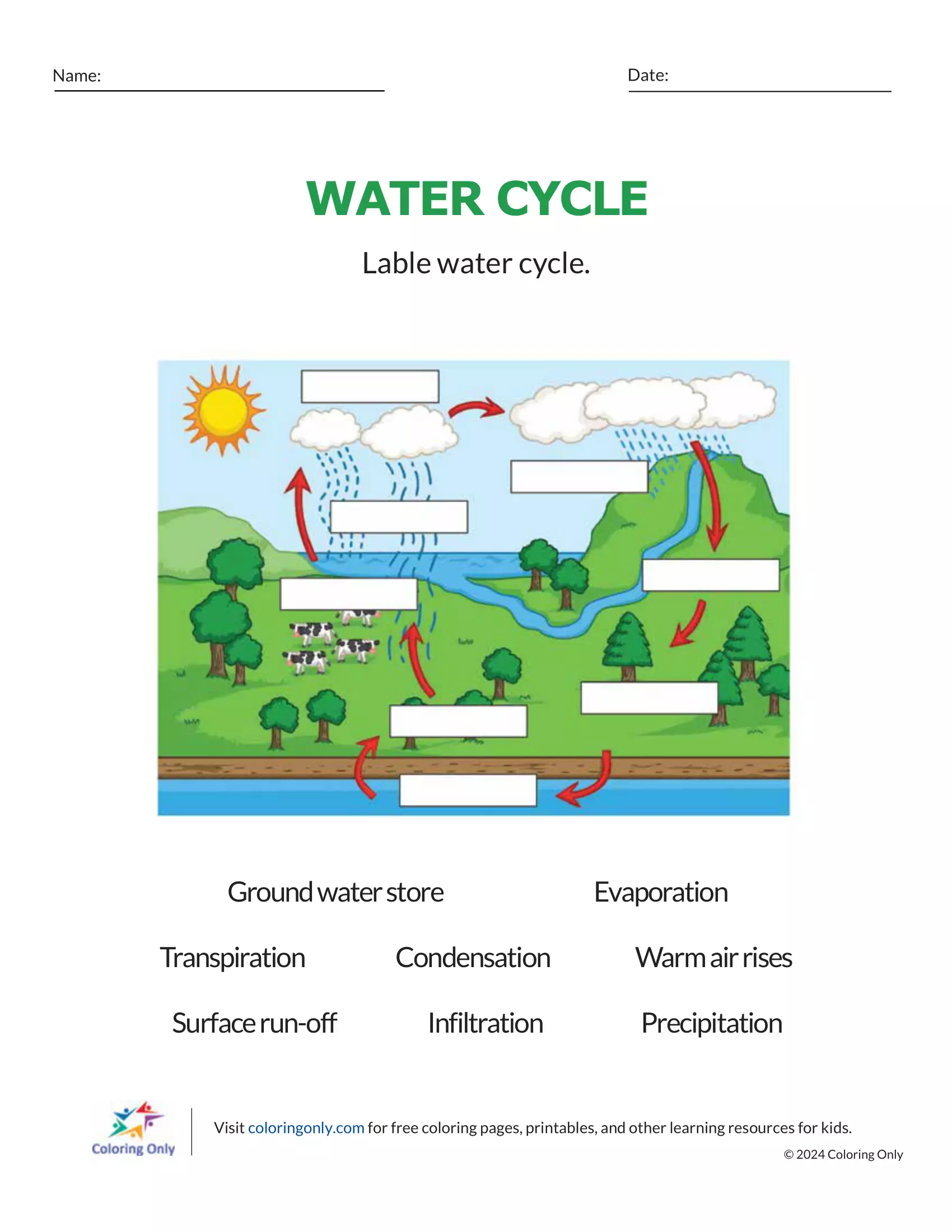 Second grade water cycle science worksheet showing the process of evaporation and condensation