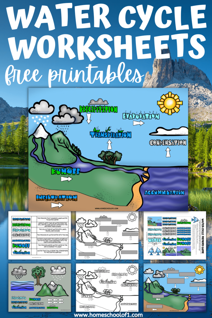 Illustration of the water cycle for a second-grade worksheet on fractions