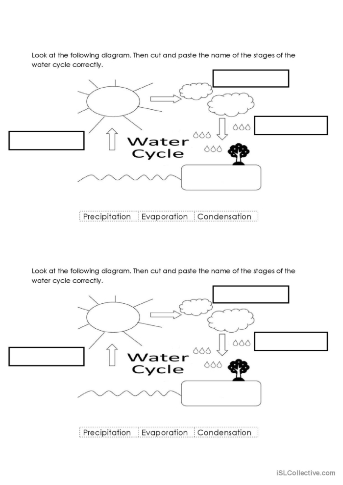 Illustration of the water cycle for a second-grade fractions worksheet