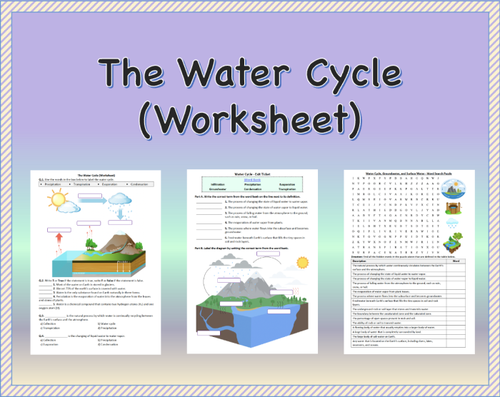 Illustration of the water cycle with labeled stages for a second-grade worksheet on fractions